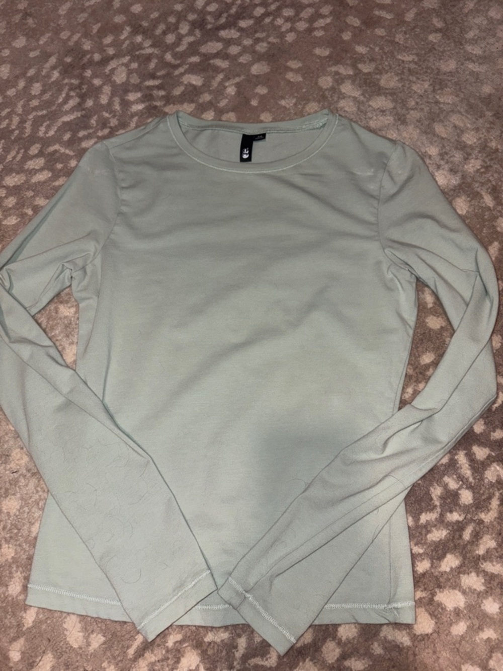 Garage Light Sage Long Sleeve Crewneck Top